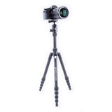 Vanguard Vesta TB235AB Aluminum Tripod with T-51 Ball Head