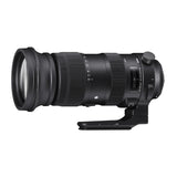 Sigma 60-600mm f/4.5-6.3 DG OS HSM Sports Lens for Nikon with USB Dock, Storage Bundle
