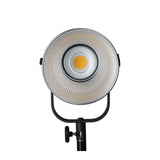 Nanlite Forza 200 LED Monolight