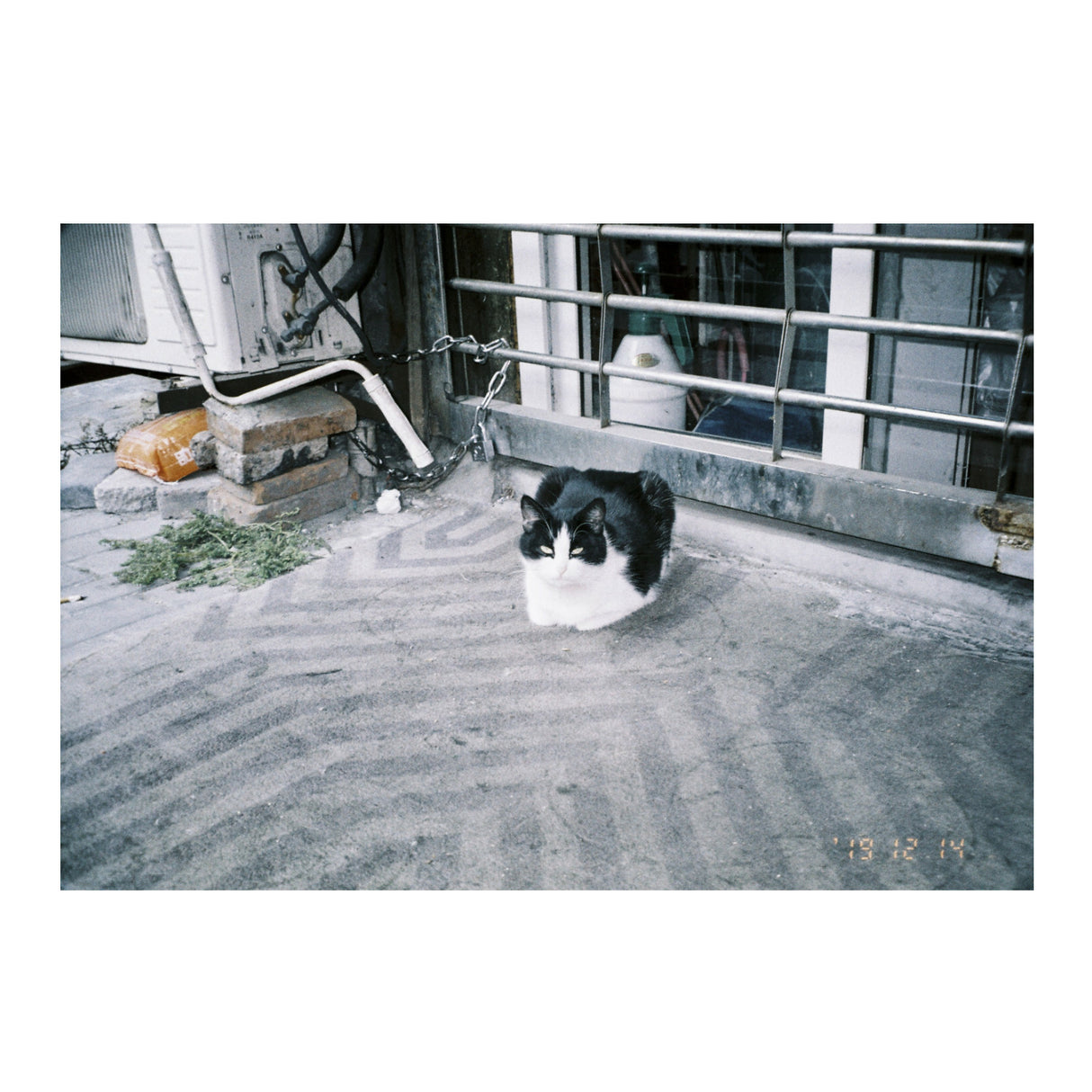 Lomography LomoChrome Metropolis ISO 100-400 Color Negative 35mm Film Roll