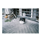 Lomography LomoChrome Metropolis ISO 100-400 Color Negative 35mm Film Roll