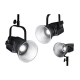 Nanlite Forza 300 LED Monolight