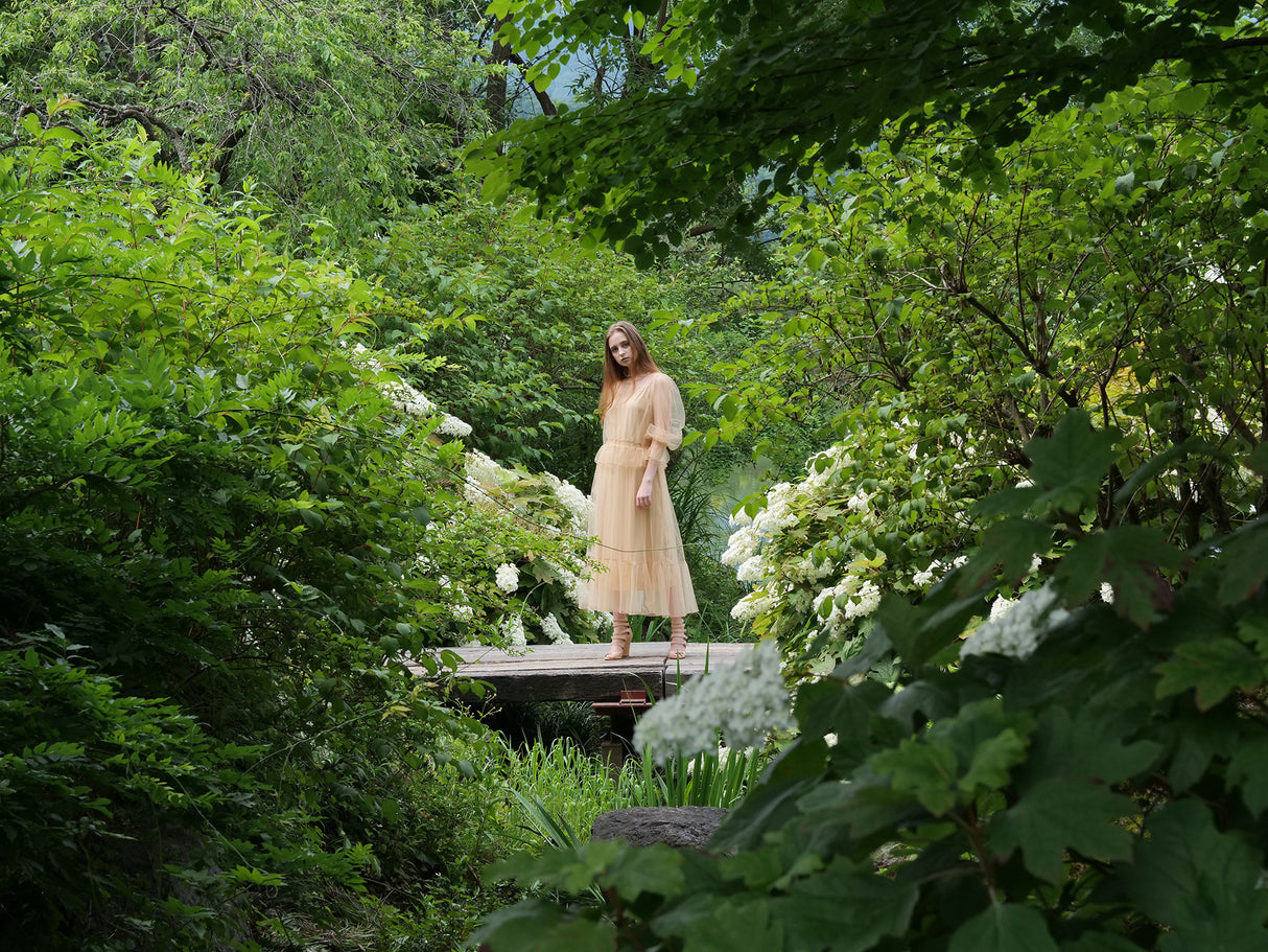 Panasonic Leica DG Vario-Summilux 25-50mm f/1.7 ASPH. Lens