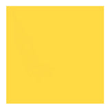Savage Widetone Seamless Background Paper (#38 Canary, 26-Inch x 36-Feet)