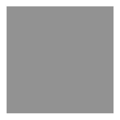 Savage Widetone Seamless Background Paper (#56 Fashion Gray, 53-Inch x 36-Feet)