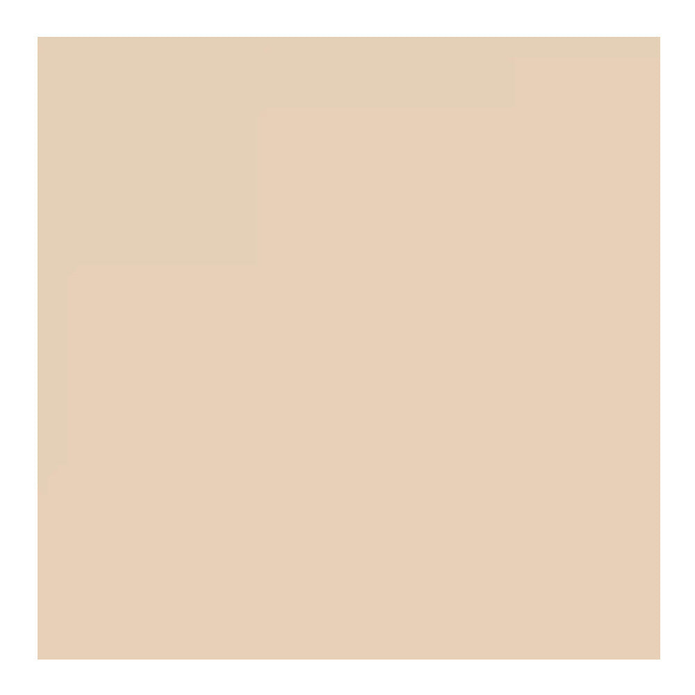 Savage Widetone Seamless Background Paper (#19 Egg Nog, 53-Inch x 36-Feet)