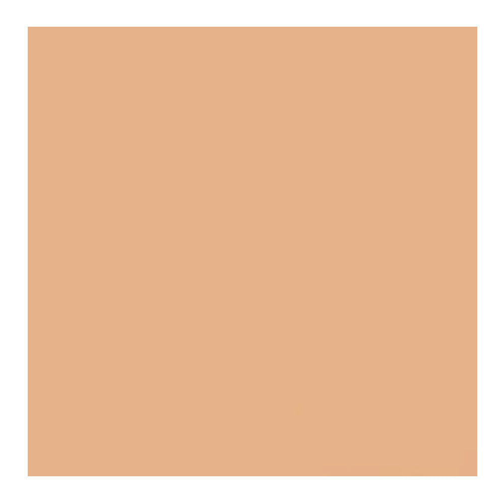 Savage Widetone Seamless Background Paper (#79 Almond, 86-Inch x 36-Feet)