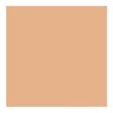 Savage Widetone Seamless Background Paper (#79 Almond, 86-Inch x 36-Feet)