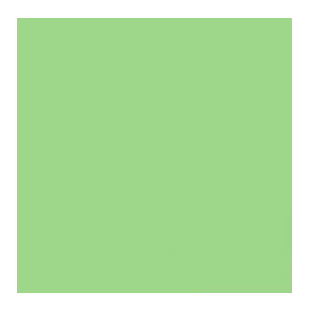 Savage Widetone Seamless Background Paper (#40 Mint Green, 26-Inch x 36-Feet)