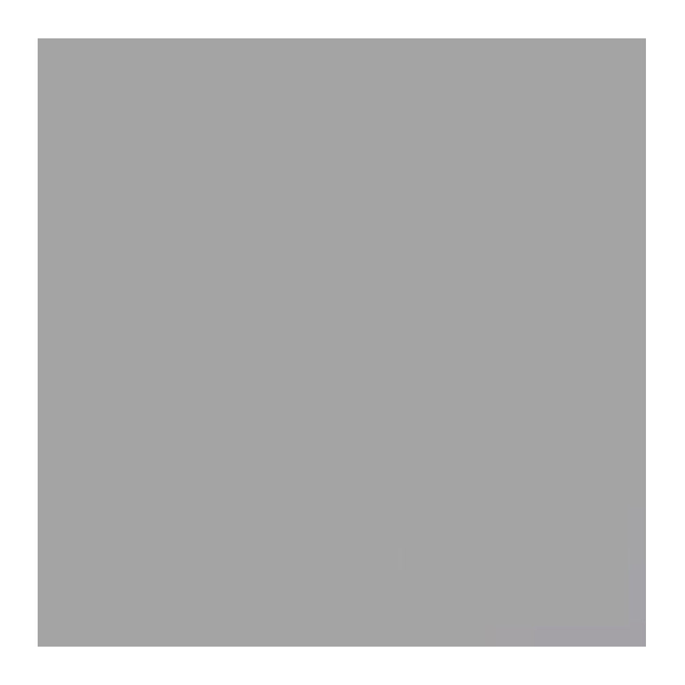 Savage Widetone Seamless Background Paper (#9 Stone Gray, 107-Inch x 36-Feet)
