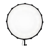 NanLite Forza 60 Softbox