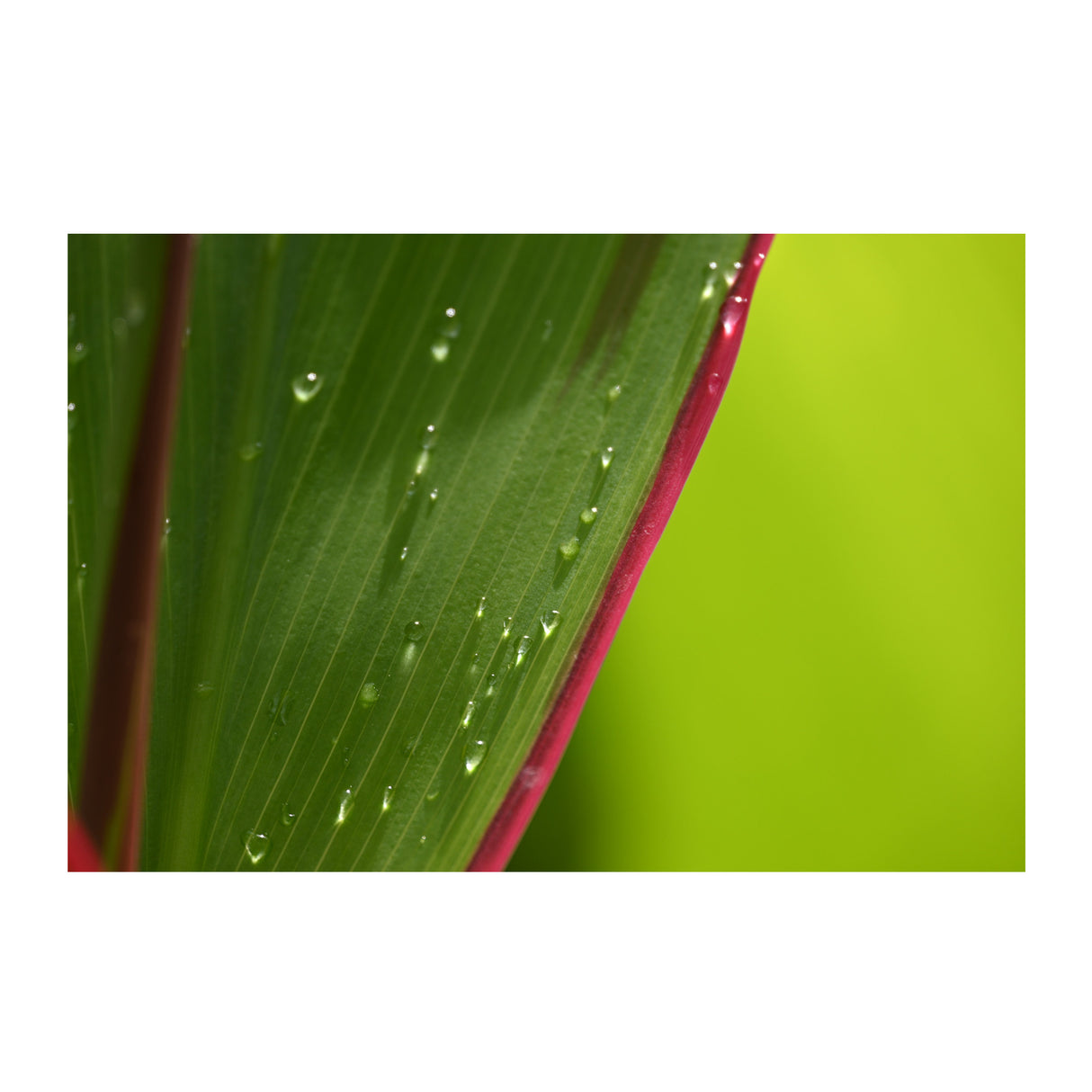 NIKKOR Z DX 18-140mm f/3.5-6.3 VR