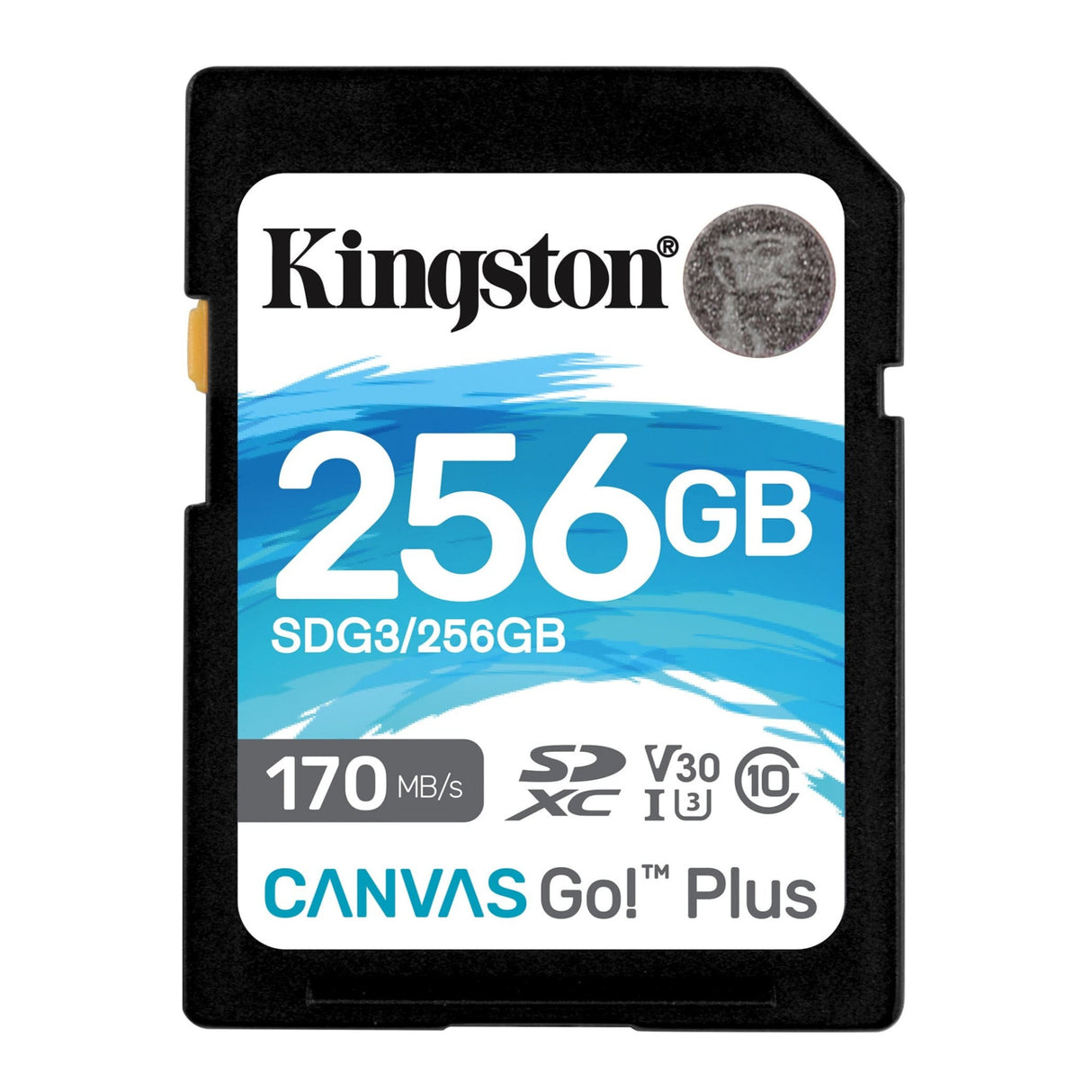 Kingston 256GB SDXC Canvas Go Plus 170MB/s Read Memory Card (SDG3/256GB)