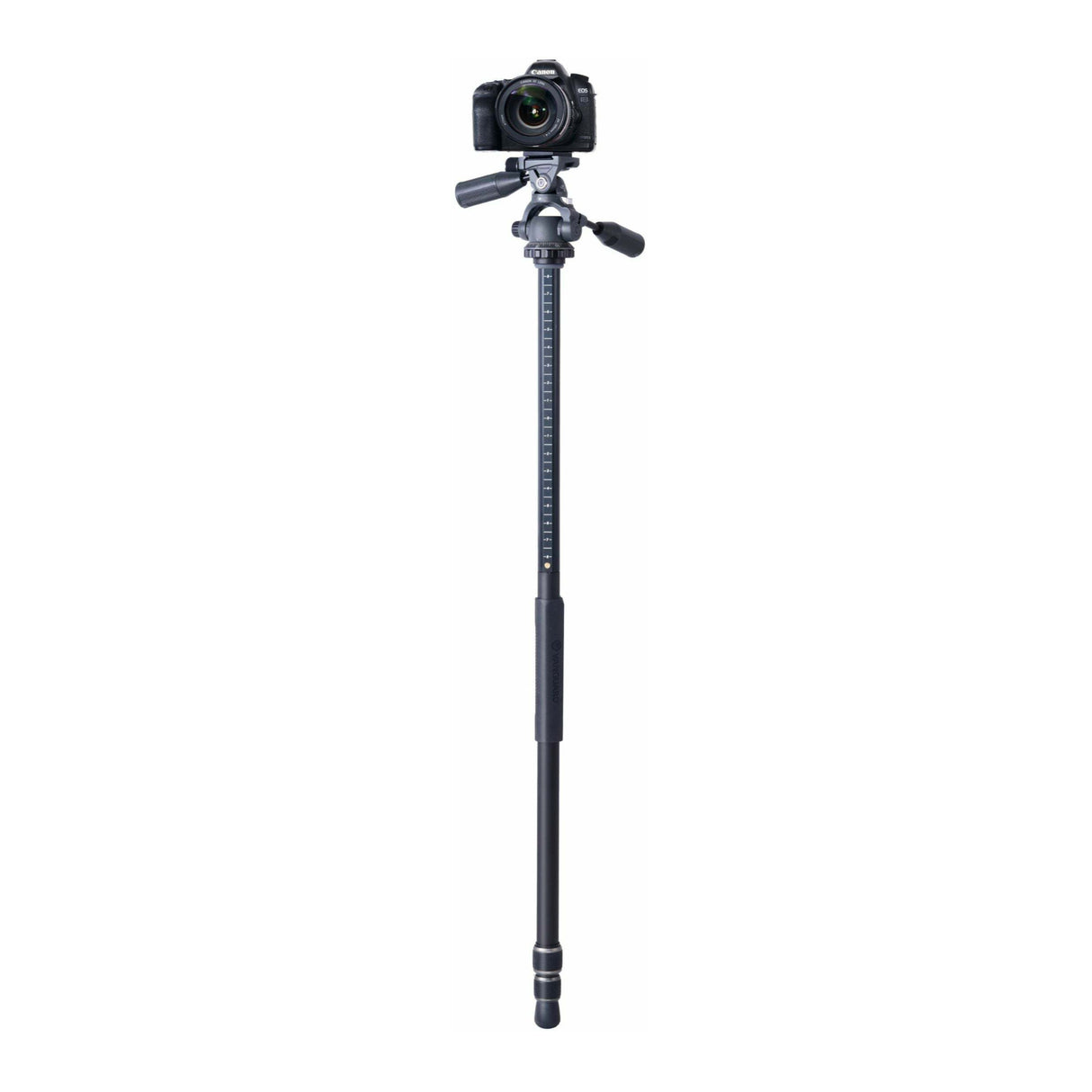 Vanguard VEO 3+ 263AP Aluminum Tripod with Panhead