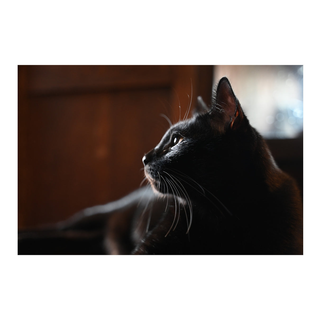 Nikon NIKKOR Z 28-75mm f/2.8 Lens with 64GB Card and Messenger Bag Bundle