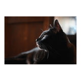 Nikon NIKKOR Z 28-75mm f/2.8 Lens with 64GB Card and Messenger Bag Bundle