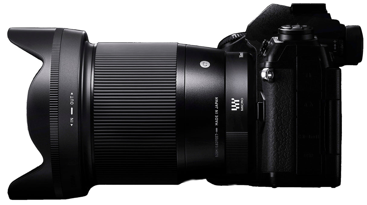 Sigma 16mm f/1.4 DC DN Contemporary Lens for Micro Four Thirds with 64GB Card and Pouch Bundle
