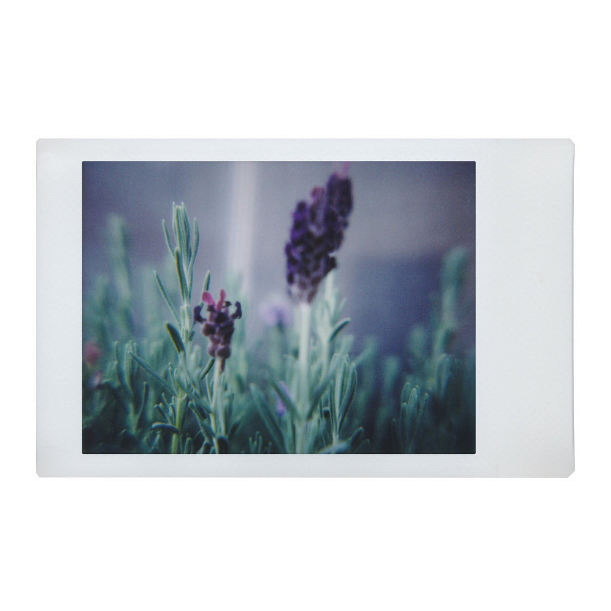 Lomography Lomo'Instant Automat Camera (South Beach Edition)