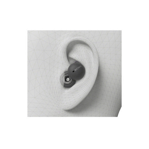 Sony LinkBuds Truly Wireless Earbuds (Dark Gray) with Knox Gear Hard EVA Travel Case