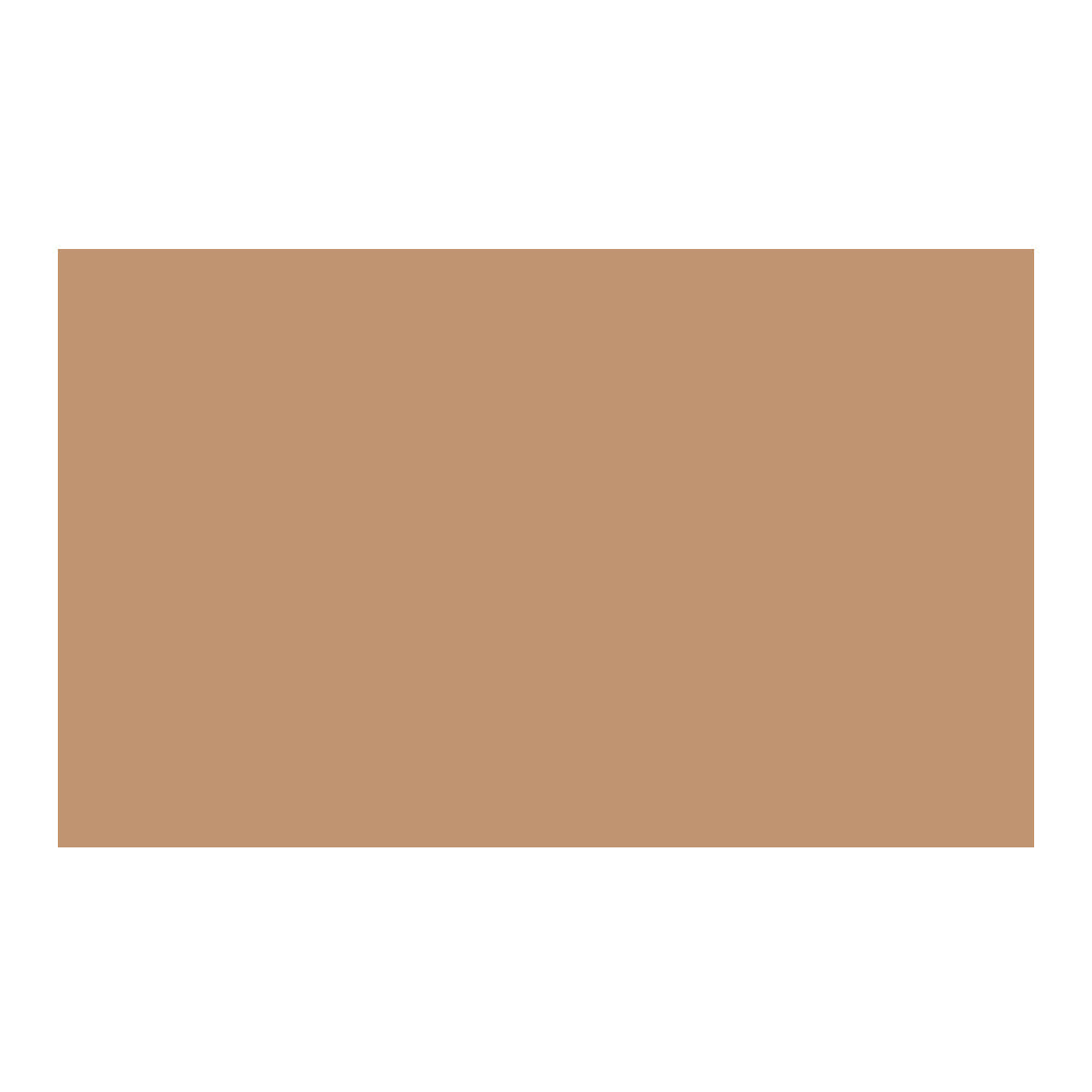 Savage Widetone Seamless Background Paper (#76 Mocha, 107-Inch x 36-Feet)