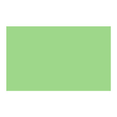 Savage Widetone Seamless Background Paper (#40 Mint Green, 107-Inch x 36-Feet)