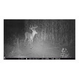 Browning Trail Cameras Strike Force Extreme 16MP Game Camera (4-Pack) Bundle