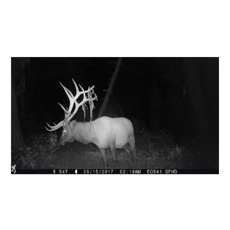 Browning Trail Cameras Strike Force Extreme 16MP Game Camera (10-Pack) Bundle