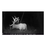 Browning Trail Cameras Strike Force Extreme 16MP Game Camera (10-Pack) Bundle