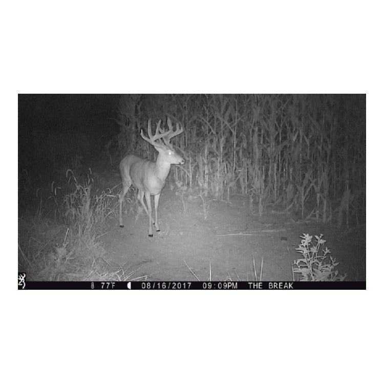 Browning Trail Cameras Strike Force Extreme 16MP Game Camera (10-Pack) Bundle