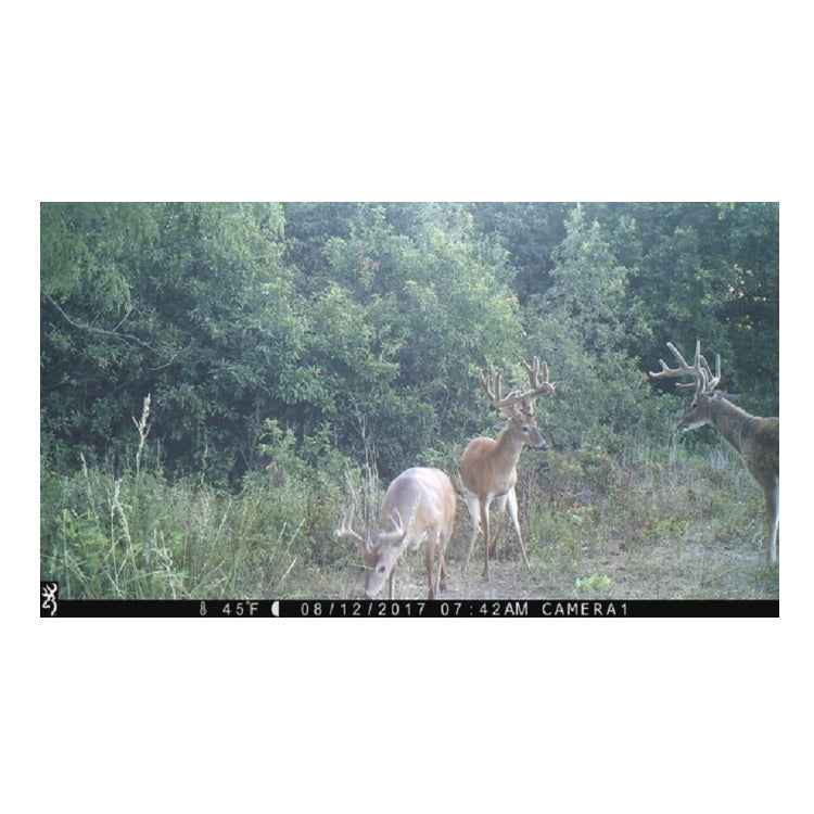 Browning Trail Cameras Strike Force Extreme 16MP Game Camera (10-Pack) Bundle