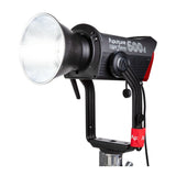 Aputure Light Storm 600d LED Light (Gold Mount)