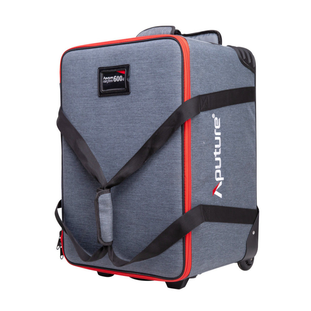 Aputure Light Storm 600d LED Light (Gold Mount)