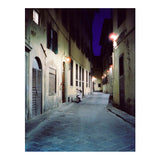 CineStill Film 800Tungsten High-Speed Color Negative Film