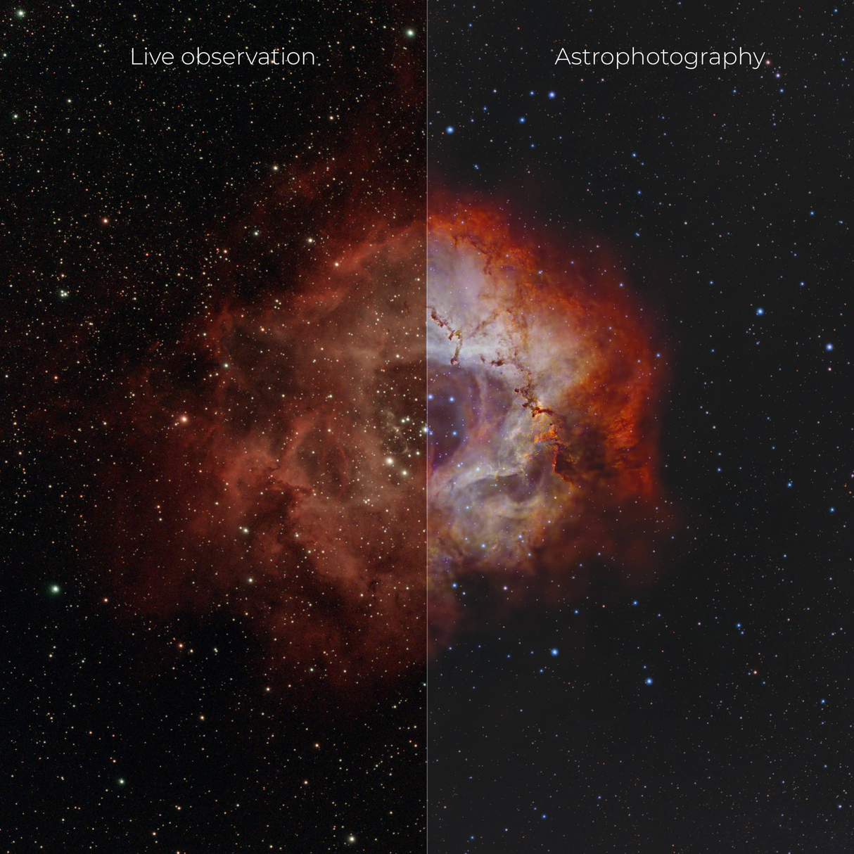 Vaonis Vespera Pro Observation Station Telescope with Dual Band Filter and Case