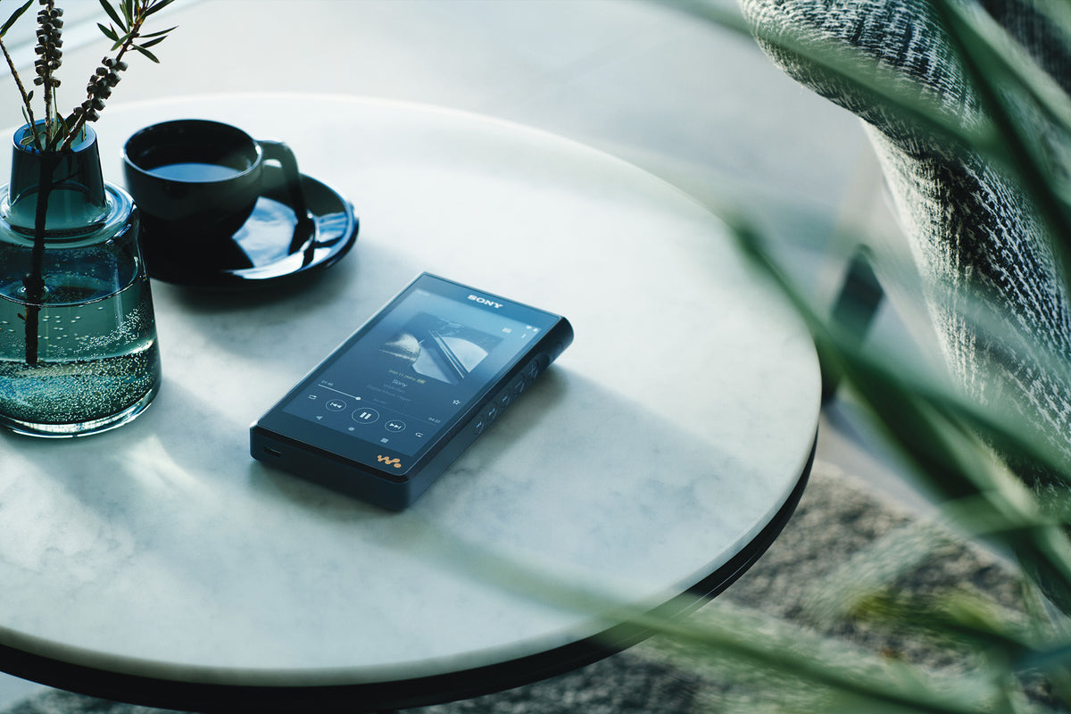 Sony NW-WM1AM2 Walkman Digital Music Player