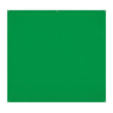 Westcott X-Drop Pro Wrinkle-Resistant 8 x 8 Feet Backdrop Screen (Green)