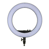 Godox LR160 19.4-Inch LED Ring Light (Bi-Color)