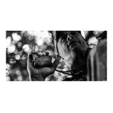 Halo Optics XR700 Range Finder 700Y