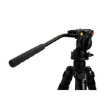 Celestron 4-Section Leg Regal Premium Tripod with Two-Way Pan Head
