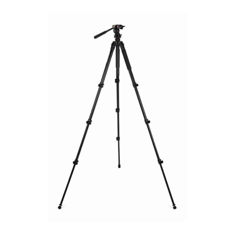 Celestron 4-Section Leg Regal Premium Tripod with Two-Way Pan Head