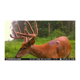 Stealth Cam G42NG 32MP No Glo Trail and Wildlife Camera