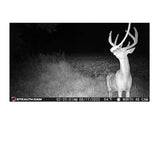 Stealth Cam G42NG 32MP No Glo Trail and Wildlife Camera