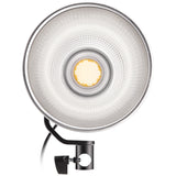 Westcott L60-B Bi-Color LED Video Light (60W)