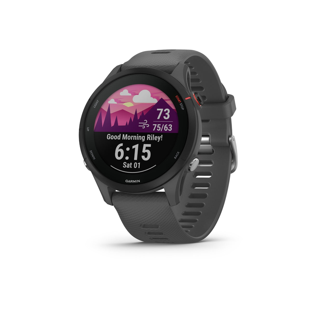 Garmin Forerunner 255 Running Watch (Slate Gray)