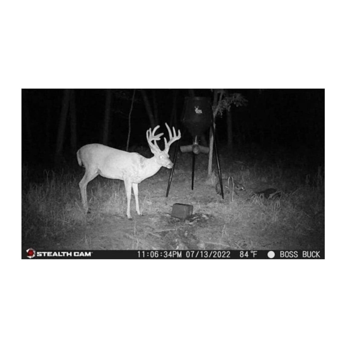 StealthCam G42 No-Glo Trail Game Camera with 32GB Card and Focus Reader Bundle