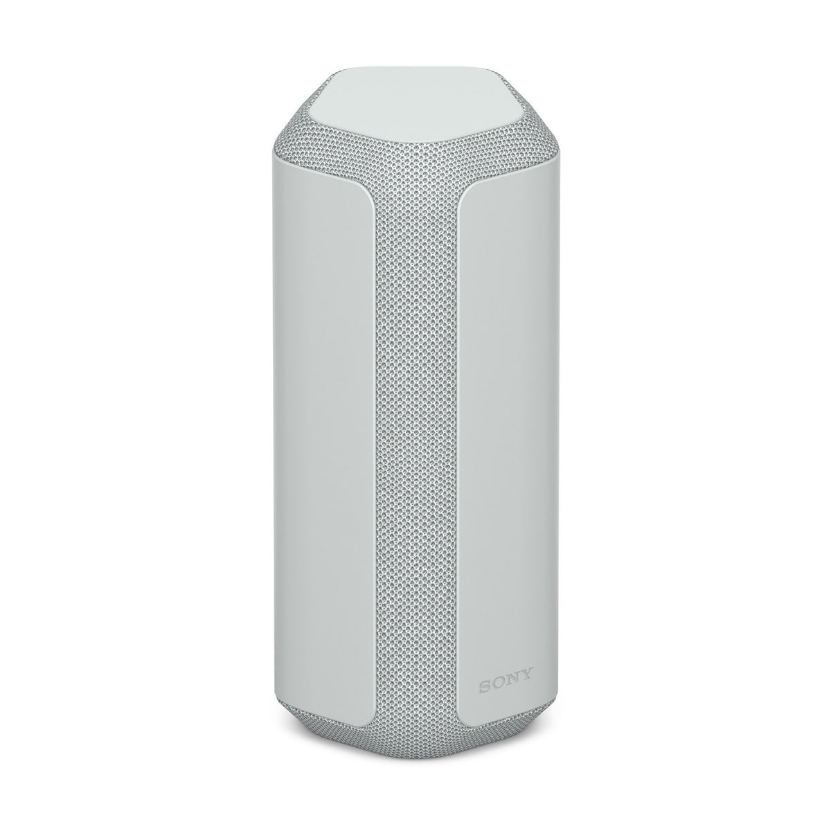 Sony SRS-XE300 X-Series Wireless Portable Bluetooth Speaker (Gray) with Case