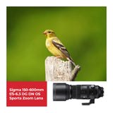 Sigma 150-600mm f/5-6.3 DG DN OS Sports Zoom Lens for Sony E with 1TB Hard Drive and 64GB SD Card