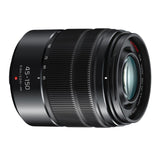 Panasonic Lumix G95 Hybrid Mirrorless Camera with 12-60mm Lens with Panasonic LUMIX 45-150mm Bundle