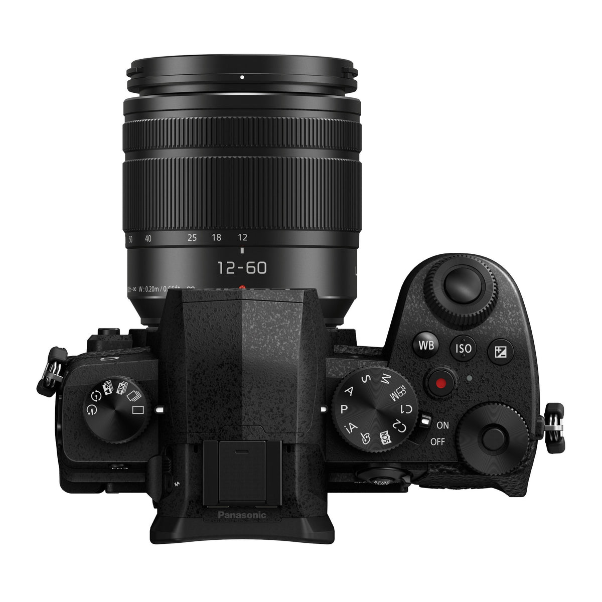 Panasonic Lumix G95 Hybrid Mirrorless Camera with 12-60mm Lens and 64GB Canvas Memory Card Bundle