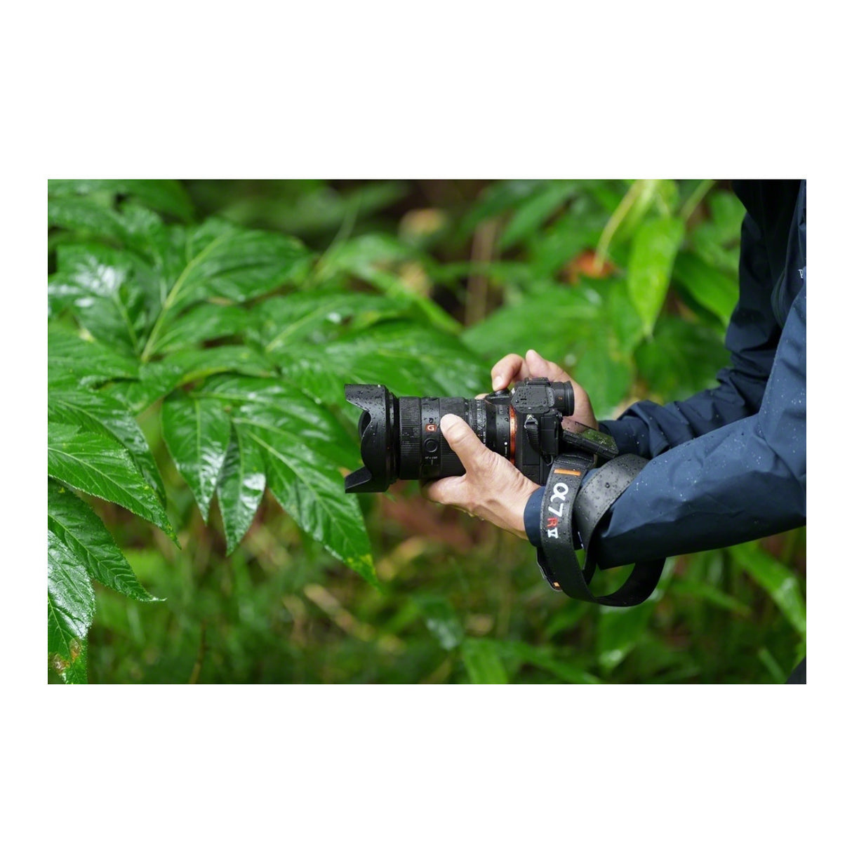 Sony Alpha a7R V Full-Frame Mirrorless Interchangeable Lens Camera Body